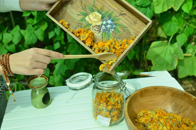 DIY buatan tangan membuat cale - Soap Making Starter Kit ulasan dan harga