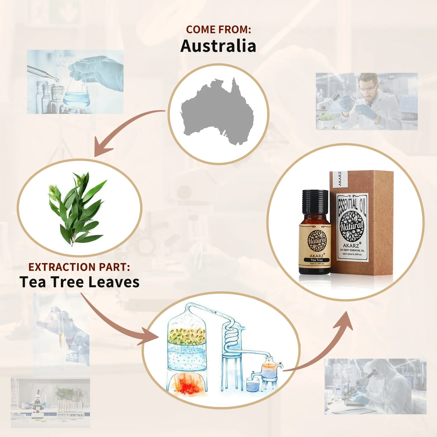 Akakz minyak esensial Rosemary - Soap Making Ingredient ulasan dan harga
